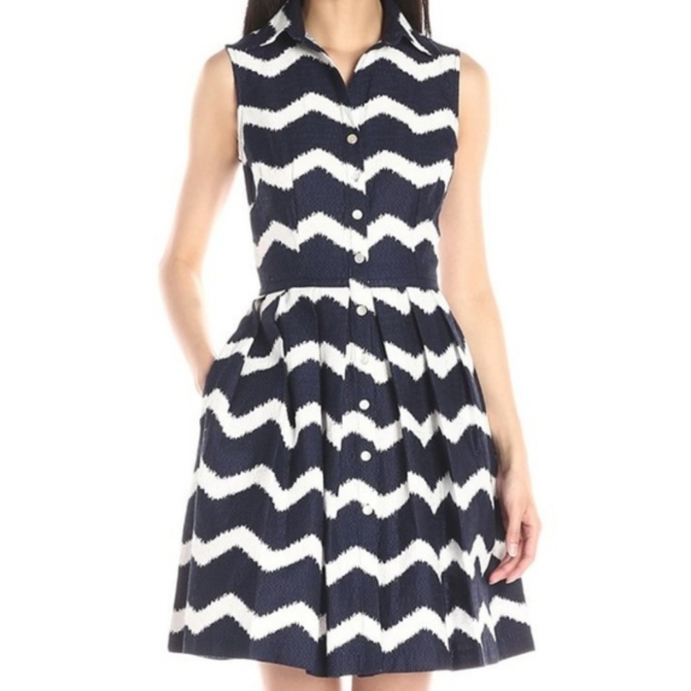 Just...Taylor navy blue and white button up dress!